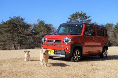 【青山尚暉のわんダフルカーライフ】軽自動車でも天候や路面に左右されない、クロスオーバーモデル 画像