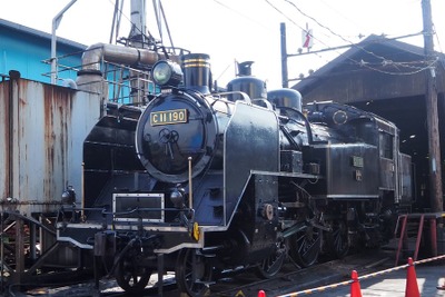 大井川鐡道のSL列車が再開…C11 190の修繕が完了 10月8日 画像