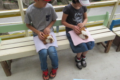 動物園で「子ども安全免許証」を発行　10月25日 画像