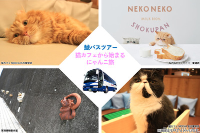 バスツアー“にゃんこ旅”…本物の猫と創作物としての猫　2月22日発売 画像