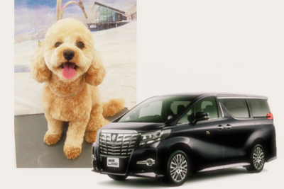 愛犬も車内に、運転手付専用車のサービスを開始…アルファードのリムジン 画像