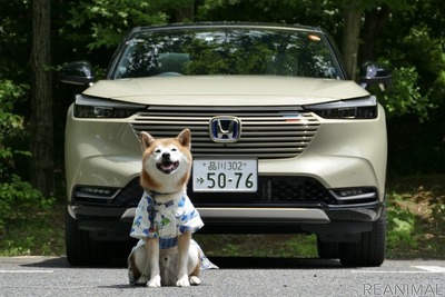 【柴犬ハルの気になるクルマ】新型 ホンダ ヴェゼル とハルの夏支度 画像