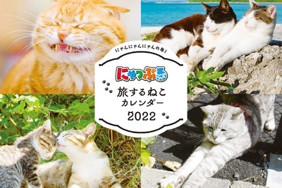 『にゃっぷる』旅するねこ…2022年カレンダー発売へ 画像