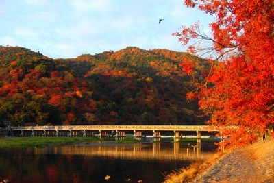北日本は本格的な紅葉シーズンへ…ウェザーニューズ「見頃予想」を発表 画像