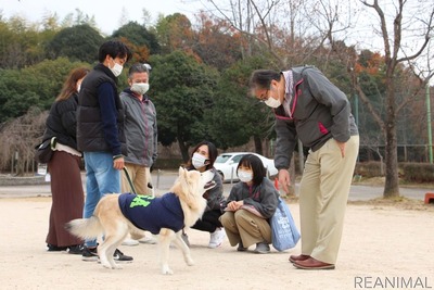 行き場のない犬猫たちのために…保護活動を支援するマツダ社内クラブ 画像