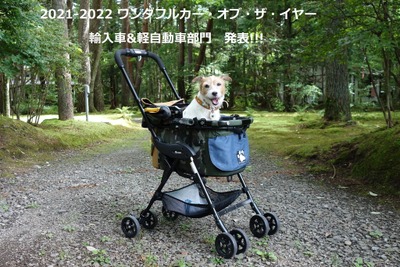 【青山尚暉のわんダフルカーライフ】2021年 わんダフルカー・オブ・ザ・イヤー 輸入車&軽自動車部門を発表! 画像