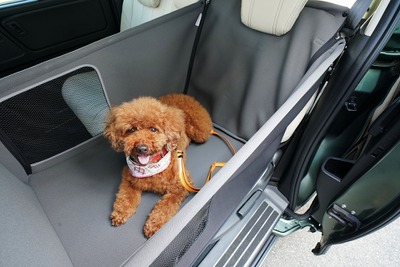 「飛行機内も宿泊も愛犬と一緒に過ごす温泉旅プラン」ホンダアクセスが愛犬用アクセサリー提供 画像