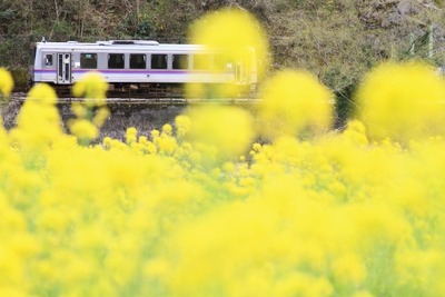 西九州新幹線、佐賀空港ルートの技術的な精査へ…JRローカル線存廃は国の対応を検討　国交相会見 画像