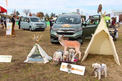 ステップワゴンとフリード＋をペットイベントに展示、愛犬家とのコミュニケーションも活発に…ホンダアクセス 画像