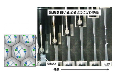 横浜ゴムと信州大学、高分子微粒子から亀裂が進みにくいゴム材料を開発 画像