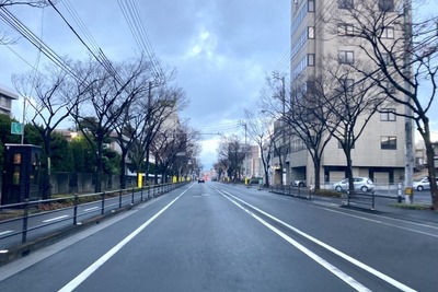 国道沿いビッグモーター10店舗で街路樹枯死、国交省が被害届提出 画像