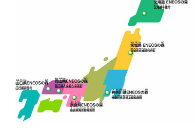 新日石、ENEOSの森で森林保全活動を展開 画像