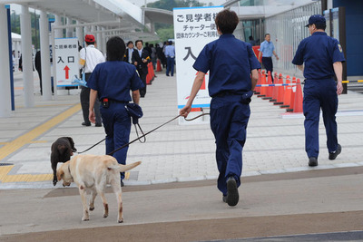静岡空港にも麻薬探知犬が出張 画像