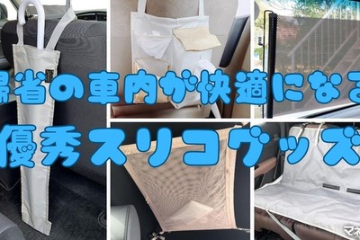 帰省前「買ってよかったぁ~」車移動が快適になる3COINSグッズ 画像