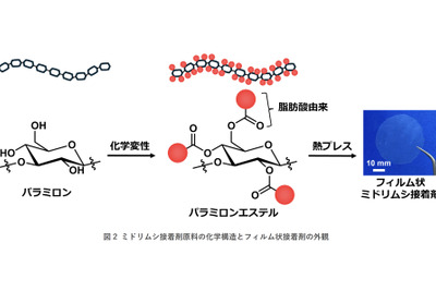 ミドリムシを接着剤に、自動車構造材に革新 旭化成らが開発 画像