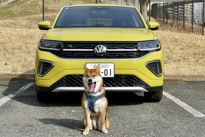 【VW Tクロス TSI R-Line 新型試乗】人にも中型犬にも“ちょうどよさ”が魅力…島崎七生人 画像
