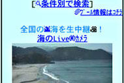 【夏休み】ウェザーニューズが情報配信…海だ、クラゲだ、バーベキューだ 画像