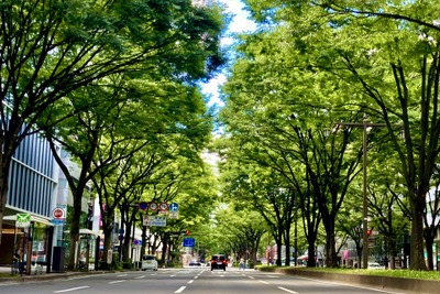 走りも快適性も守る! 車高調、オイル、電装系まで“お手入れ完全マニュアル”~カスタムHOW TO~ 画像