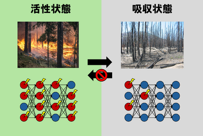 アイシンや東京大学、ディープラーニングに統計物理学の普遍法則を発見 画像