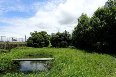 横浜ゴムの三重と尾道工場、国の「自然共生サイト」に認定…生物多様性保全活動が評価 画像