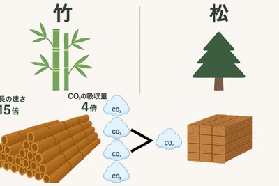竹由来の複合素材を開発、自動車部品などに活用へ…矢崎総業 画像