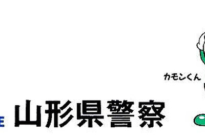 朝日が眩しすぎて横断者を見落とす 画像