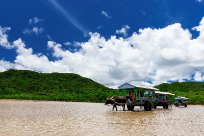 ジョルダン、沖縄・由布島の水牛車定期便のオンライン予約サービス開始 画像
