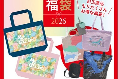 ゼンリン、地図柄の文具・雑貨を詰め込んだ2026年福袋を発売 画像