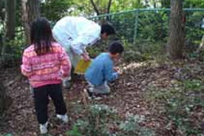 さがみ縦貫道でどんぐり拾い、地域性苗木植樹へ 10月19、30日 画像