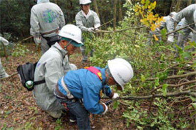 ジャパンエナジー、岡山県高梁市で森林ボランティア実施 画像