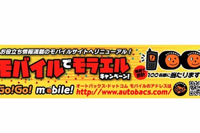 モバイルでモラエルかも…折りたたみ式自転車かソーラー式携帯充電器 画像