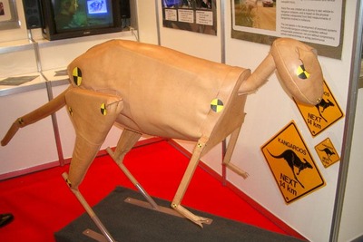 【ESV国際会議】おっと、カンガルーのダミーを発見!! 画像