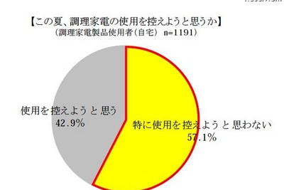 料理も節電、レンジ使わず冷めてもおいしい料理とは 画像