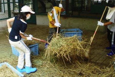 【夏休み】動物園サマースクール…飼育員や獣医の手伝い体験 画像