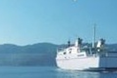 「ようこそ島留学」説明会 6月26、28日 画像
