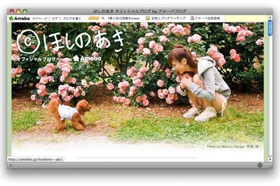 ほしのあきの最初のバイトと最新の仕事 画像