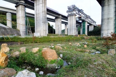 新東名の的場高架橋、ホタルを守って竣工 画像