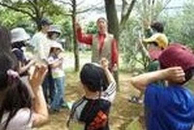 臨海都心で野生生物たんけん 10月8-9日 画像