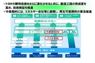 トヨタが酵母菌を開発---バイオ燃料を低コストで生産へ 画像