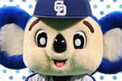 ドアラの宙返りとチーム勝利との微妙な関係 画像