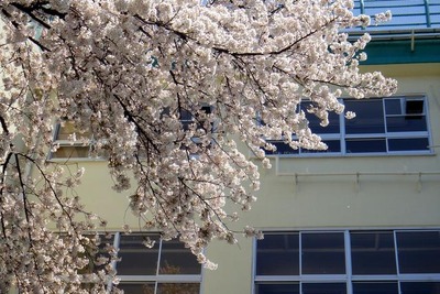 ［入試直前］大手塾に聞く2012年中学受験2/3…親がやるべき事・やってはいけない事 画像