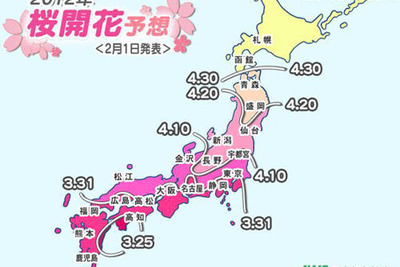 桜の開花、平年より遅いか平年並み 画像