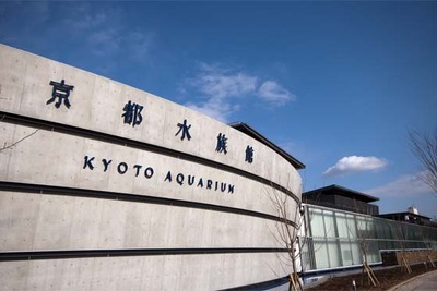 京都に大規模水族館　3月14日開業 画像