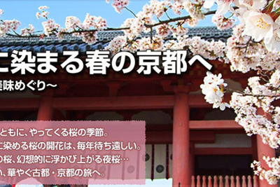 春の京都へ～桜名所と美味めぐり---MapFan Web 観光楽地図  画像