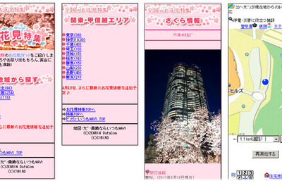 いつもNAVI、お花見特集の配信開始…17段階の開花情報を毎日更新 画像