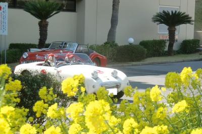 Splendore Tokyo開催　春の房総半島をクラシックカーが駆け巡った 画像