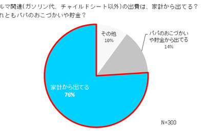 タイヤについて調べたことがない女性は6割以上…ブリヂストン調べ 画像