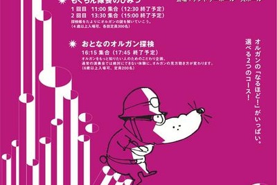 【夏休み】それいけ! オルガン探検隊 画像