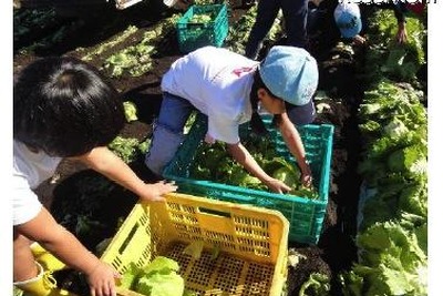 【夏休み】時計職人＆農業体験…キッザニア 画像