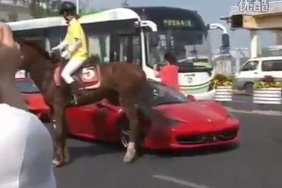 跳ね馬が本物の馬から痛すぎる一撃…［動画］ 画像